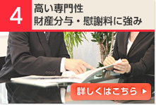 高い専門性財産分与・慰謝料に強み